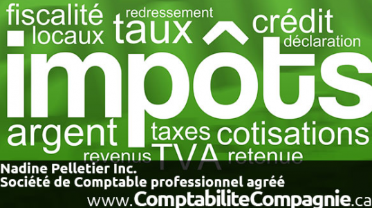 FISCALITÉ, Impôts des sociétés, Impôts des travailleurs autonomes, Revenus de location, Impôts des particuliers, SERVICES-CONSEILS, Consultation, Coaching